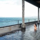 돌고래하우스 이미지