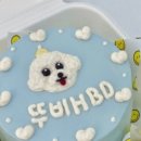 에마블 AIMABLE 이미지