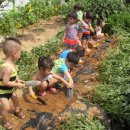 아인농장 이미지