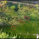 주천소류지 이미지