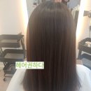 헤어;권하다 네이버블로그