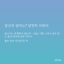 룰루 밀러 「물고기는 존재하지 않는다」 후기