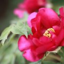 종근축산 이미지