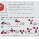 스프린트 PT 이미지