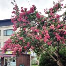 춘향커피숍