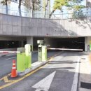 가온아리 이미지