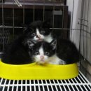 한가람병원 이미지