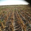 우람농장 이미지