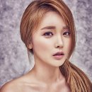 웰릭스컴퍼니