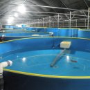 용궁농장 이미지