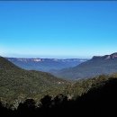 블루마운틴 이미지