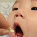 킹덤키즈-D 이미지