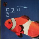 그물과물고기 이미지