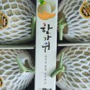 준희네농장 이미지