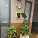 삼학도광교점 이미지