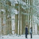 평창 오대산 사고 이미지