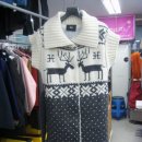 현대D&G