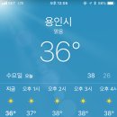 레인보우롤러스케이트장