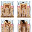 김앤장치과의원 이미지