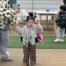 여름꽃농장 | 용인가볼만한곳 헤브온어스 용인딸기체험 동물농장 아이랑 다녀온 추천 후기