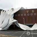 실내체육관 이미지