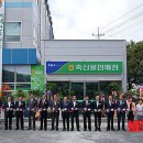 녹색한우타운