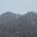 두루봉농원 이미지