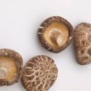 닥터방의원 이미지