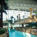 홍천 강가애 이미지