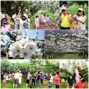 사슴이랑 배랑 농원 이미지