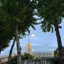 조메드 | 20251018 딩고콘서트 킬링보이스 태민 후기