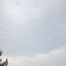 제주도 암요양병원 재활치료 이야기, 아부오름 수국길에서 다시 걷다