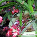 세림약국 이미지