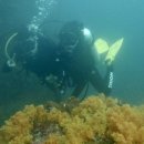 다이브투게더리조트 이미지