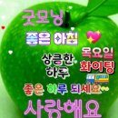 힐링 행복열차 출발~273 이미지