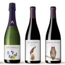 보태니컬 일러스트 이미지