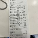 부목농장 | 강아지 다리 골절 수술 비용 및 플레이트 제거술, 8개월간의 회복 후기 총정리 (병원 추천)