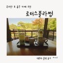 속리산 로터스블라썸 후기｜속리산 대추차 카페 추천 (아이랑 방문, 뷰 좋은 카페)