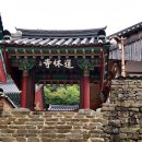곡성-183 Daum카페