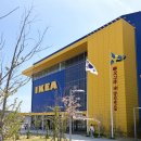 수목 스크린 | 부산 이사준비 이케아 동부산점 방문후기 + 등심돈까스