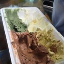라또래요 | 속초 젤라또 맛집 라또래요 내돈내산 후기
