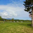 궁전온천 이미지