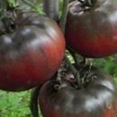 환이농장 이미지