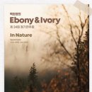 에보니 앤 아이보리(Ebony & Ivory)