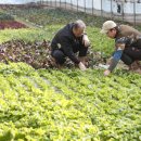 장안농장 이미지