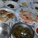 부산식당 Daum카페