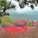 완산공원(정상) 이미지