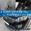 옐로우오토모티브 이미지