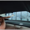 무아레소프트 이미지