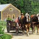 그루동물병원 이미지